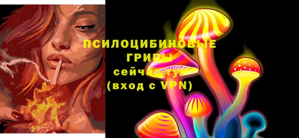 прущие крисы Пересвет