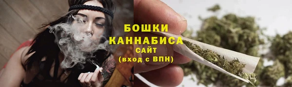прущие грибы Бронницы