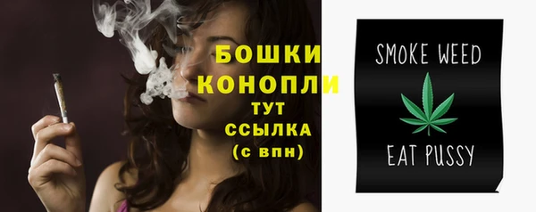 прущие крисы Пересвет