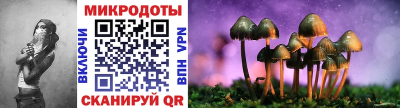 Псилоцибиновые грибы ЛСД  Купить  Таштагол 